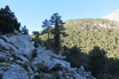 43674.jpg